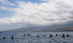 Reef Check 2010 (photo: DR)