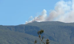 Samedi 13 novembre 2010: Incendie sur la route du volcan (photo: Mounice Najafaly)