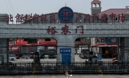 L'entrée du marché de Xinfadi, fermé depuis l'apparition de nouveau cas de coronavirus, le 19 juin 2020 à Pékin