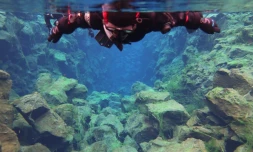 Un plongeur en apnée observant la faille de Silfra 26 juillet 2022 à Thingvellir, en Islande