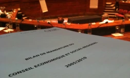 Mercredi 17 novembre 2010 : Assemblée plénière du Ceser (photo: Mounice Najafaly)