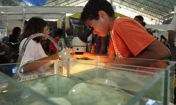 Jeudi 18 Novembre 2010

Fête de la science au Parc des expositions 

(Photo Marie Trouvé)