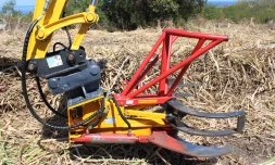 Coupeuse de cannes (Photo D.R.)