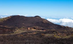 Jeudi 18 Novembre 2010

Route forestière du volcan photo Laurent Capmas