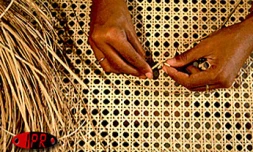 Travai de cannage (Photo archives)