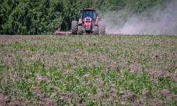 Un agriculteur dans un champ de l'exploitation Tchiorny Khleb ("Pain noir"), le 7 juin 2022 à Khotmanovo, en Russie
