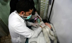 Un médecin soigne une femme dans un hÎpital d'Alep dans le nord de la Syrie, le 24 novembre 2018