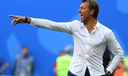 Le sélectionneur du Maroc Hervé Renard lors d'un match contre l'Iran au Mondial, le 15 juin 2018 à Saint-Pétersbourg 