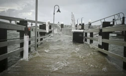 Le port de Clearwater en Floride confronté à la montée des eaux avec l'ouragan Idalia, le 30 août 2023