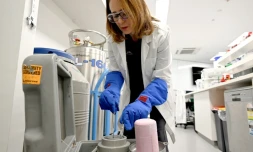 Justine O'Brien, responsable des sciences de la conservation à la Taronga Conservation Society Australia examine des échantillons de gamètes de corail stockés dans un réservoir cryogénique rempli d'azote liquide dans un laboratoire de Sydney, le 29 mai 2025 en Australie