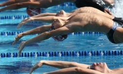 Dimanche 28 Novembre 2010

Championnat de La Réunion  de natation en petit bassin