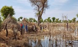 Des enfants se tiennent devant des toits de maisons détruites par les inondations dans le camp de réfugiés de Yusuf Batir à Maban, au Soudan du Sud, le 25 novembre 2019