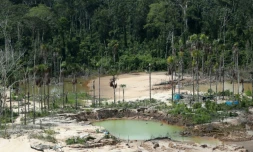 Déforestation dans l'Amazonie péruvienne, liée aux mines illégales d'or, en mars 2019