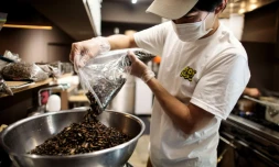 Le jeune cuisinier Yuta Shinohara s'apprĂȘtnt Ă cuisiner des cruquets sĂ©chĂ©s, qui constituent un des ingrĂ©dients de ses plats de ramen, le 13 mai 2020 Ă Tokyo