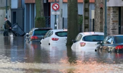 La crue de l'Ille, à Rennes, le 27 janvier 2025