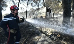 Un pompier déverse de l'eau le 3 août 2019 dans un jardin brûlé de Générac (Gard) où un feu a détruit près de 800 hectares