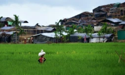 Un enfant Rohingya dans le camp de réfugiés de Thyangkhali à Teknaf (Bangladesh), le 7 octobre 2017 