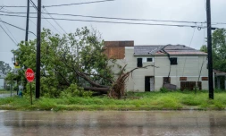 Un arbre abattu par des vents violents lors du passage de l'ouragan Béryl, le 8 juillet 2024 à Houston, au Texas