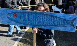 Un enfant tient une pancarte figurant une sardine lors d'une manifestation antifascite à Rome le 14 décembre 2019