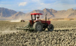 Un agriculteur dans un champ touché par la sécheresse, le 4 juin 2025 dans la région du Kurdistan irakien