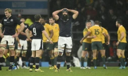 Les Wallabies euphoriques, les Ecossais abattus, après le quart de finale épique entre les deux équipes à Twickenham, le 18 octobre 2015