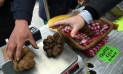 Vente de truffes le 20 décembre 2015 sur le  marché de Rognes