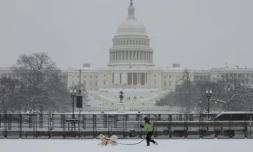 Une femme promène son chien près du Capitole de Washington, le 6 janvier 2025