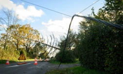 Une ligne à haute tension tombée au sol en bordure de route après des vents violents liés à la tempête Caetano, le 21 novembre 2024 à Lavau-sur-Loire, en Loire-Atlantique