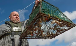 PĂȘche scientifique au lac d'Aydat (Puy-de-DĂŽme), le 14 septembre 2017