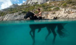 Manolo s'entraĂźne avec son cheval Indra dans la Calanque de Sormiou, Ă Marseille, le 4 septembre 2019