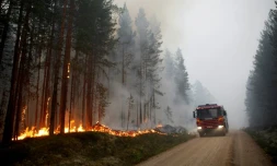 Incendies de forêt à Karbole, le 15 juillet 2018 en Suède