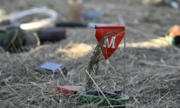 Une fausse mine antipersonnel lors d'un exercice militaire de déminage dans la région de Donetsk, le 6 décembre 2023 en Ukraine