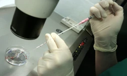 Un médecin effectue une manipulation dans une clinique spécialisée dans la procréation médicalement assistée, à Barcelone le 18 juin 2008