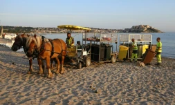 Une hippomobile sillonne une plage de Calvi, en Corse, pour ramasser les poubelles des restaurants, le 28 juillet 2017
