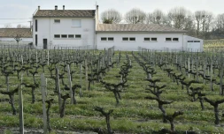 Une école élémentaire bâtie en bordure d'un vignoble, à Villeneuve (Gironde), le 23 mars 2016