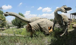Des statutes de dinosaures au parc "Wonderland Eurasia" à l'abandon, le 5 juillet 2021 à Ankara, en Turquie