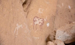 Des peintures sur les roches sur le site de Garoa Hallagana, dans l'Ennedi-Ouest, au Tchad, le 10 juillet 2025