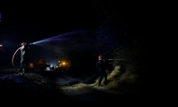 Les pompiers tentent d'éteindre un incendie dans la forêt de Fontainebleau, à Noisy-sur-École, tôt dans la matinée du 13 juillet 2026