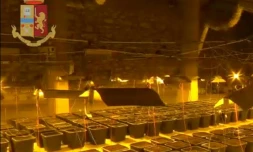 Capture d'écran réalisée le 11 octobre 2019 à partir d'images fournies par la police italienne qui a découvert  une vaste plantation de marijuana derrière une cabine de douche en Sardaigne 