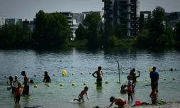 Des habitants cherchent la fraicheur sur la rive du lac de Bordeaux, le 10 août 2025, en pleine vague de chaleur