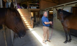 Roland Phillips, ancien officier de Scotland Yard dans sa maison de retraite pour chevaux de la police montée, la "Brantôme Police Horses", à Brantome, le 17 août 2017