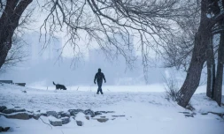 Un homme promenant son chien à Kingston, au Canada, le 30 janvier 2019. PHOTO D'ILLUSTRATION