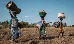 Des sinistrées du cyclone Idai rentrent dans leur village ravagé de Begaja, au Mozambique, le 26 mars 2019, après être allées chercher de quoi se nourrir