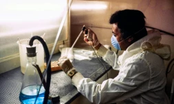 Le professeur Jean-Claude Chermann travaille sur le virus du sida dans le laboratoire de recherche de l'Institut Pasteur, le 25 avril 1984 à Paris 