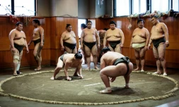 Des lutteurs de sumo s'entraînent dans leur écurie à Tokyo, en août 2019
