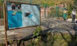 Un panneau d'informations prĂšs de la cage aux ours, au zoo d'Islamabad le 6 janvier 2021