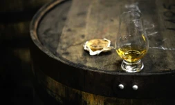 L'alcool est responsable de 7% des décès de personnes adultes survenus en 2015. Parmi les décès imputables à l'alcool, le cancer arrive en tête, devant les maladies cardiovasculaires, les maladies digestives et les accidents et suicides.