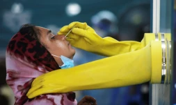 Une habitante de Dacca est testée au coronavirus, le 17 juin 2020 au Bangladesh