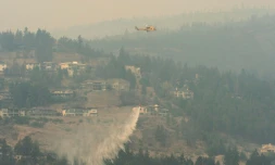 Un hélicoptÚre lùche de l'eau pour lutter contre les flammes à West Kelowna en Colombie-Britannique, le 19 août 2023