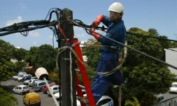 Agents EDF